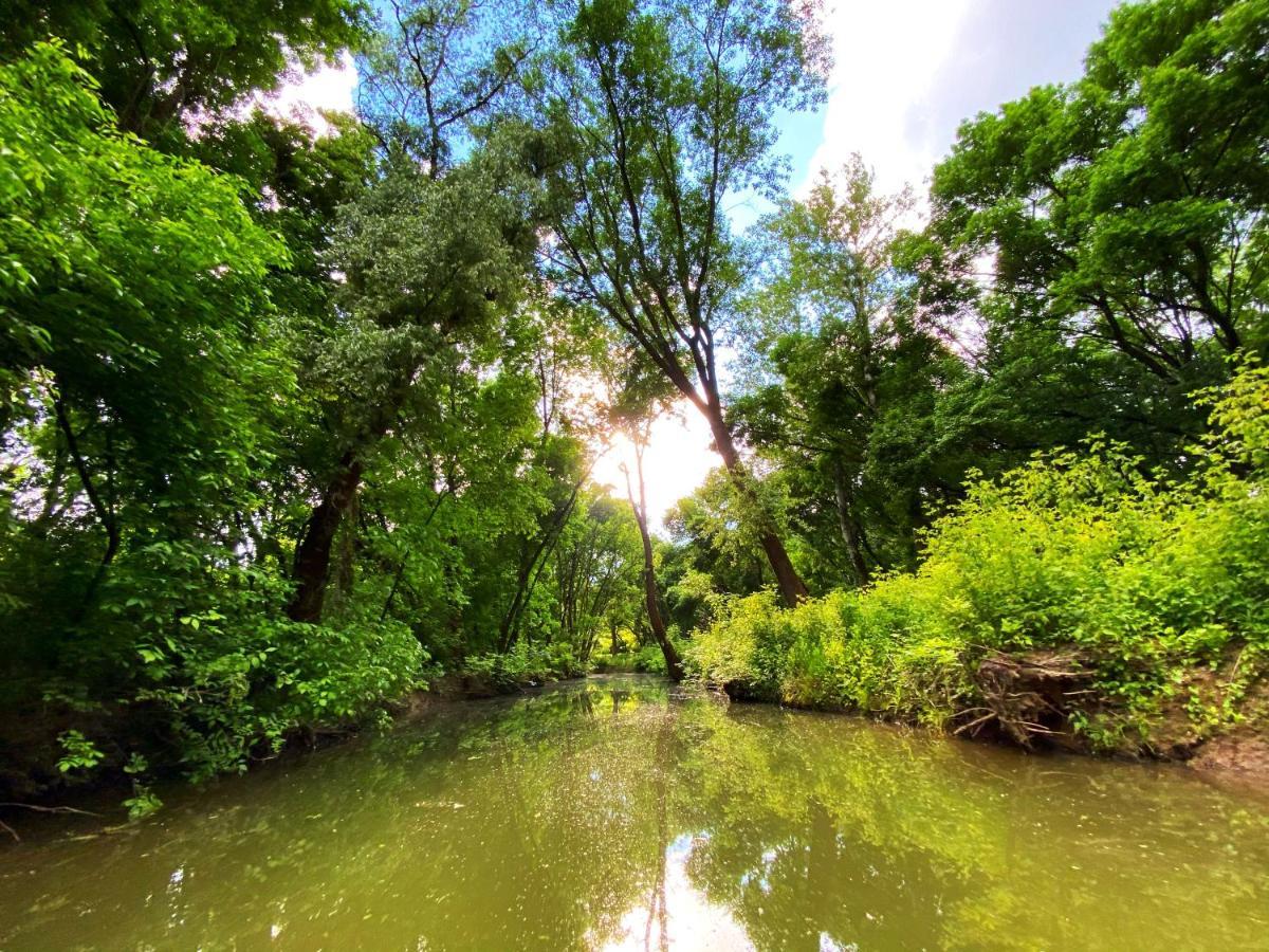 Bardos Vendeghaz Villa Tiszabábolna Exteriör bild